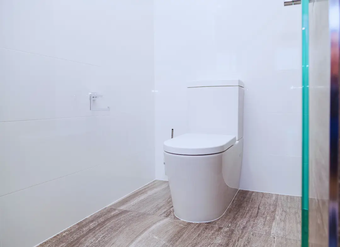 Remplacement de wc Jacob-Bellecombette